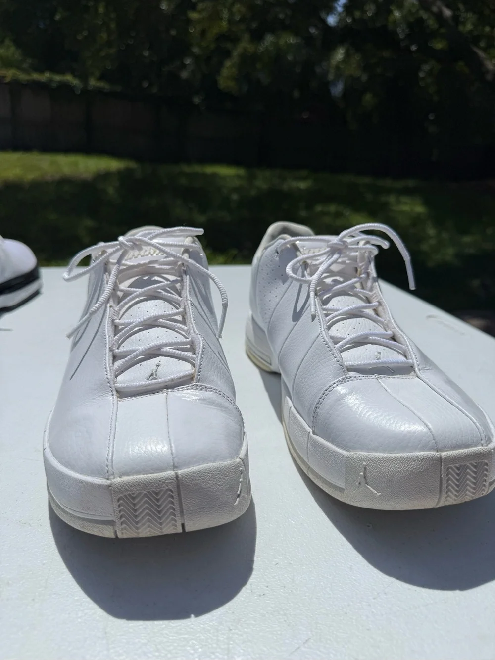 Air Jordan TE 2 Low 'White Pure Platinum' RARE
